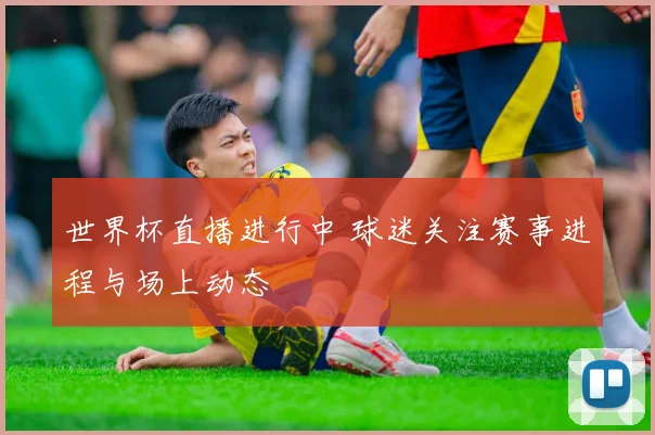 世界杯直播进行中 球迷关注赛事进程与场上动态