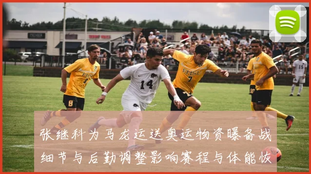 张继科为马龙运送奥运物资曝备战细节与后勤调整影响赛程与体能恢复